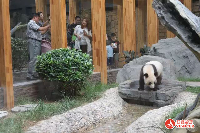 保定生态园大熊猫管_卧式暗装(zhuāng)风机盘管