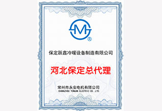 永安(ān)電(diàn)机河北保定总代理(lǐ)